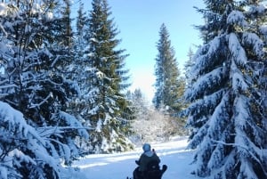 Cracovia: Tour di un giorno in motoslitta e bagni termali di Zakopane