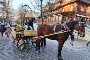 Krakau: Ganztagestour Schneemobil & Thermalbäder Zakopane