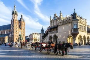 Cracovie : Visite guidée de la basilique Sainte-Marie avec une courte promenade guidée