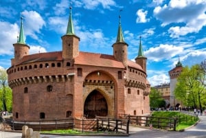 Cracovie : Visite guidée de la basilique Sainte-Marie avec une courte promenade guidée