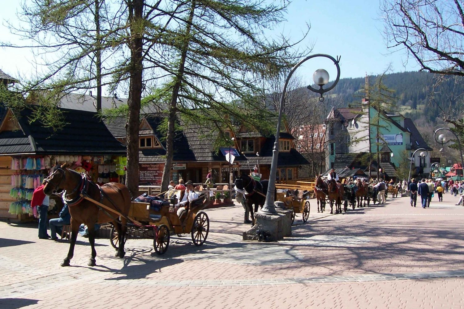 Krakow: Tatra Mountains and Zakopane Full-Day Private Tour