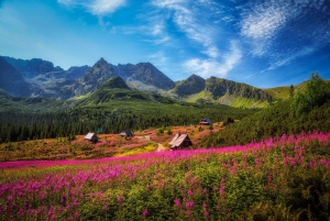Krakow: Tatra Mountains and Zakopane Full-Day Private Tour