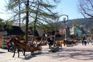 Krakow: Tatra Mountains and Zakopane Full-Day Private Tour