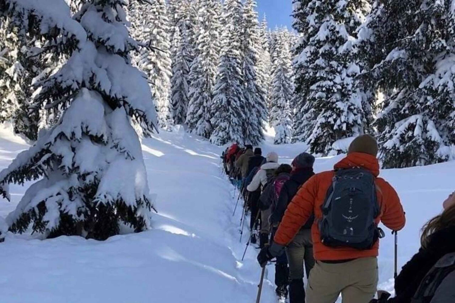 Kraków: Tatra Mountains Guided Hike with Hotel Pickup