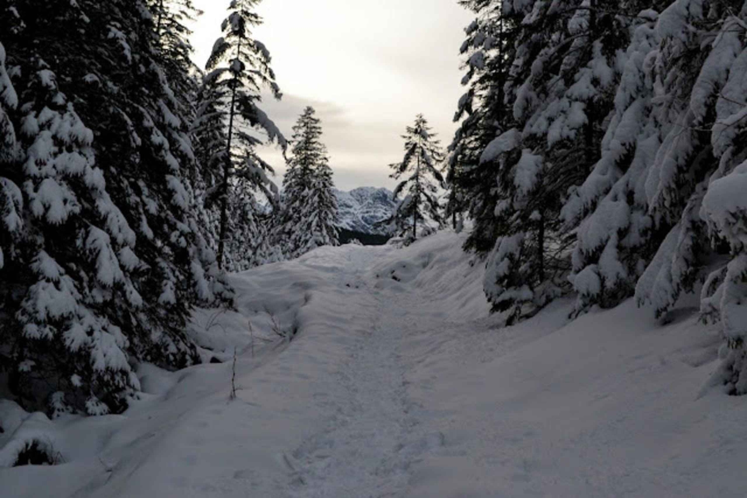 Cracovia: escursione guidata sui Monti Tatra con servizio di prelievo in hotel