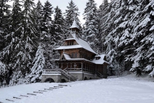 Cracovia: escursione guidata sui Monti Tatra con servizio di prelievo in hotel