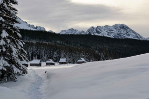 Cracovia: escursione guidata sui Monti Tatra con servizio di prelievo in hotel