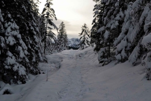 Cracovia: escursione guidata sui Monti Tatra con servizio di prelievo in hotel
