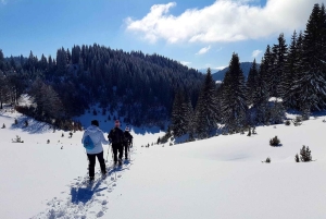 Cracovia: escursione guidata sui Monti Tatra con servizio di prelievo in hotel