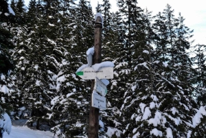Cracovia: escursione guidata sui Monti Tatra con servizio di prelievo in hotel