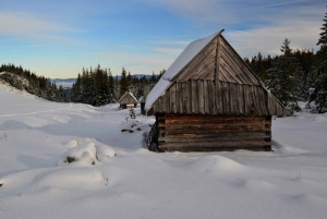 Cracovia: escursione guidata sui Monti Tatra con servizio di prelievo in hotel