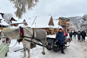 Krakau: privé-autotocht naar Tatra Zakopane - volledig aanpasbaar