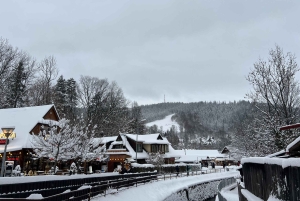 Krakau: privé-autotocht naar Tatra Zakopane - volledig aanpasbaar