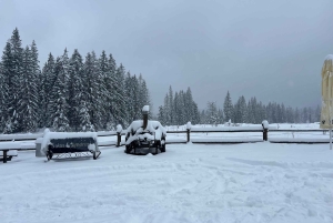 Krakau: privé-autotocht naar Tatra Zakopane - volledig aanpasbaar