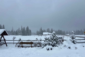 Krakau: privé-autotocht naar Tatra Zakopane - volledig aanpasbaar