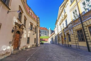 Cracovia: tour guidato al Museo del Mercato Sotterraneo