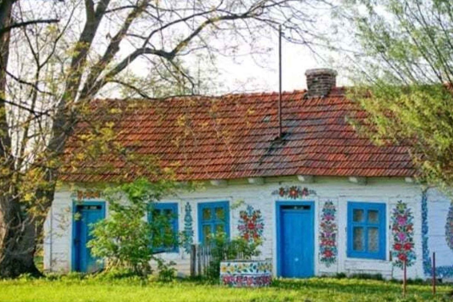 Krakow: Tour to Zalipie and Tarnow