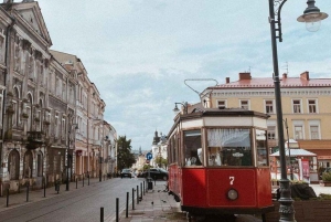 Krakow: Tour to Zalipie and Tarnow