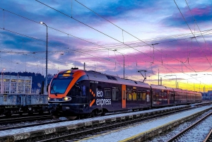 Cracovie : Billet de train pour la visite d'Oswiecim et retour