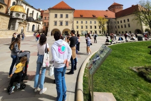 Krakau: Besichtigung des Wawel-Hügels und der Kathedrale