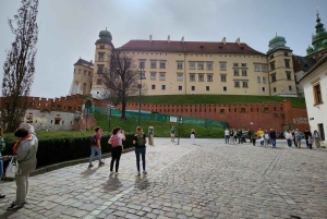 Krakau: Besichtigung des Wawel-Hügels und der Kathedrale