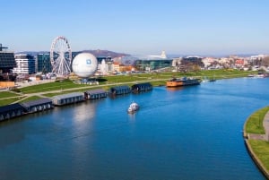 Cracovia: crociera sul fiume di 30 minuti