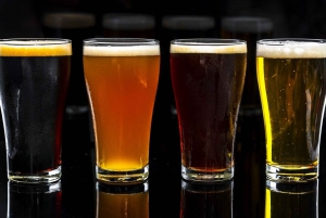 Krakow: Vistula River Cruise and Beer Tasting Guided Tour