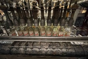 Krakow: Vodka Factory Museum Ticket & Audioguide and Tasting