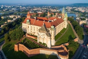 Krakow: Wawel Castle and Cathedral Guided Tour