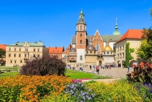 Krakow: Wawel Castle and Cathedral Guided Tour