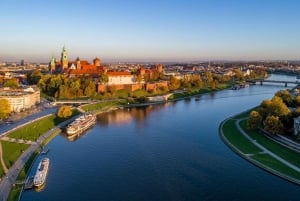 Kraków: Wawel-slottet og katedralen innvendig med guide