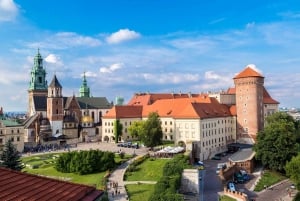 Kraków: Wawel-slottet og katedralen innvendig med guide