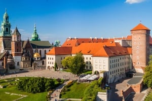 Krakow: Wawel Castle and Wawel Hill Audioguide Tour