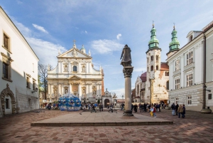 Cracóvia: Visita guiada ao Castelo e à Catedral de Wawel