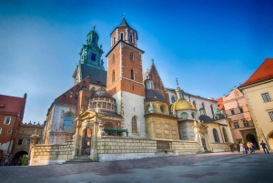 Krakau: Rondleiding Wawel Kasteel & Kathedraal