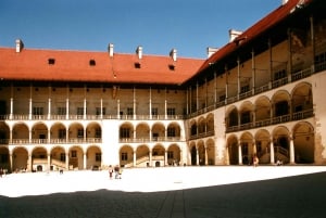 Cracovia: Tour guidato del Castello di Wawel e della Cattedrale