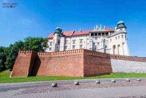 Cracovie : Visite guidée du château de Wawel et de la cathédrale