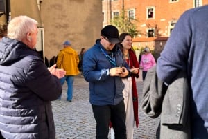 Krakova: Opastettu kierros Wawelin linnassa ja katedraalissa