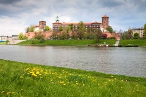 Krakow: Wawel-slottet & katedralen, Rynek tunnelbana & lunch