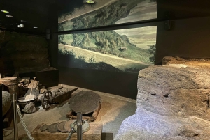 Cracovie : château du Wawel, cathédrale et musée souterrain de Rynek