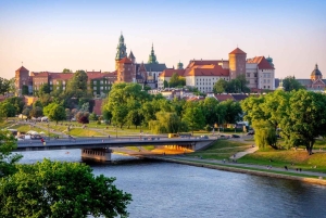 Cracovie : château du Wawel, cathédrale et musée souterrain de Rynek