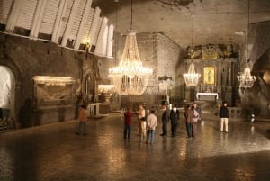 Krakow: Wawel-slottet, katedralen, saltgruvan och lunch