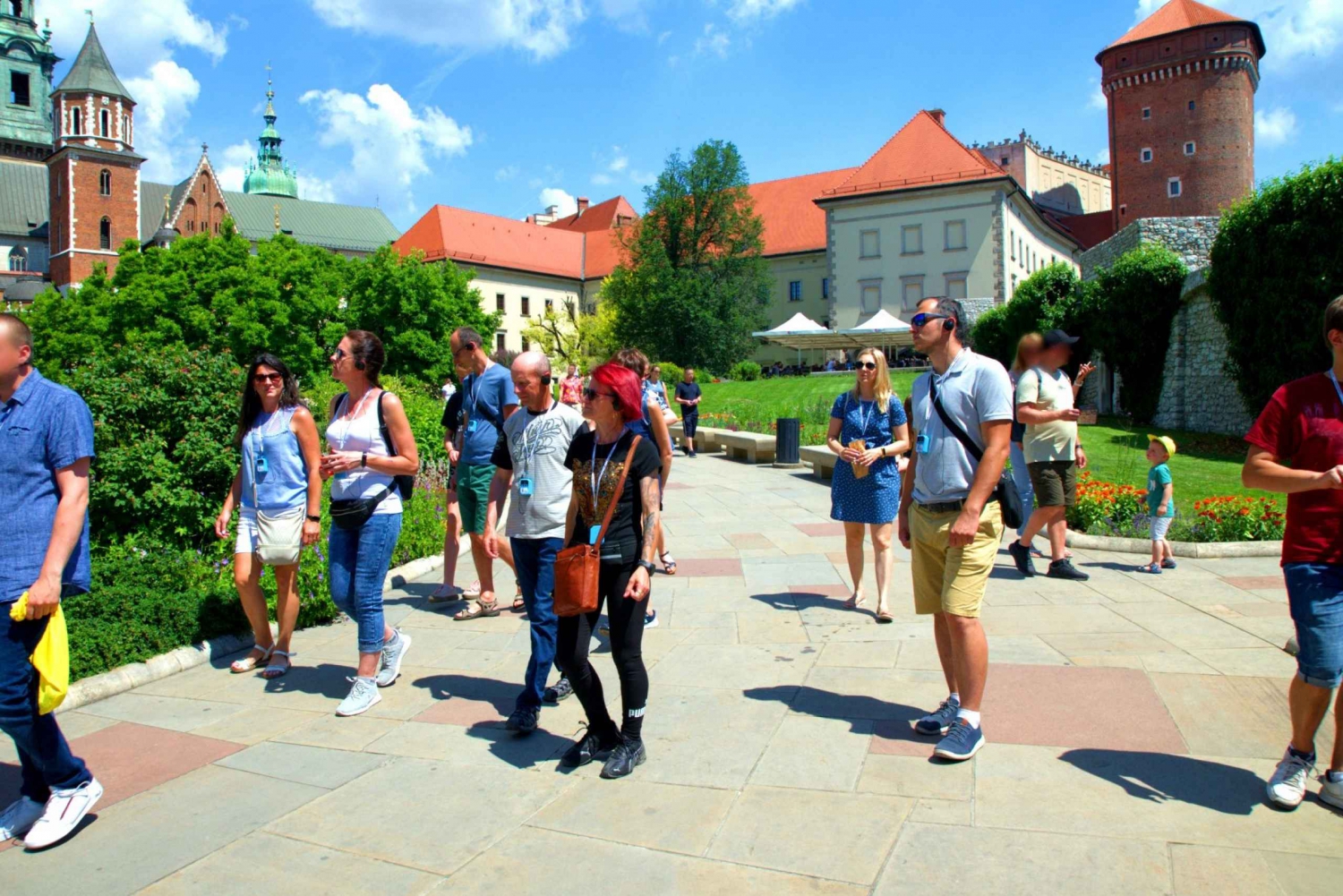 Cracovia: Tour guidato del Castello di Wawel con biglietti d'ingresso