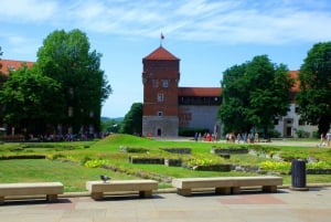 Krakow: Wawel Castle Guided Tour with Entry Tickets