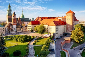 Krakow: Wawel Castle Guided Tour with Entry Tickets
