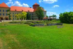 Krakow: Wawel Castle Guided Tour with Entry Tickets