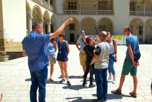 Krakow: Wawel Castle Guided Tour with Entry Tickets