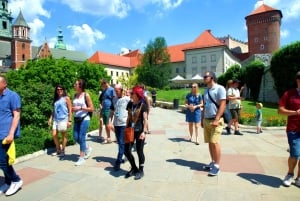 Krakau: Schloss Wawel Führung mit Tickets