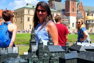 Krakau: Schloss Wawel Führung mit Tickets