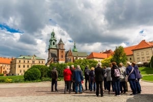 Krakau: Schloss Wawel Führung mit Tickets